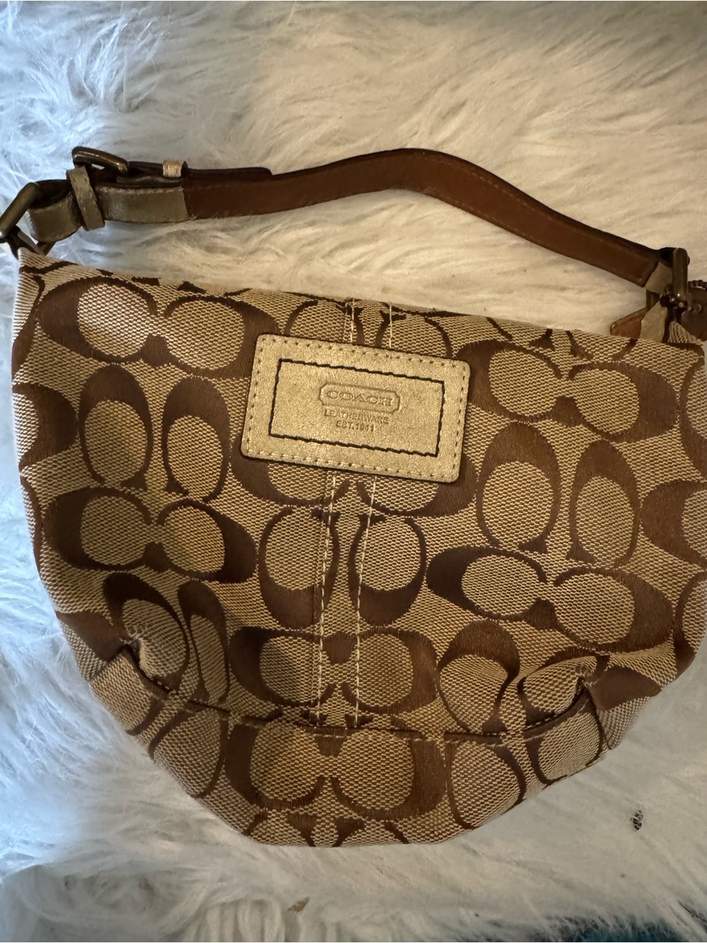 Coach mini y2k bag